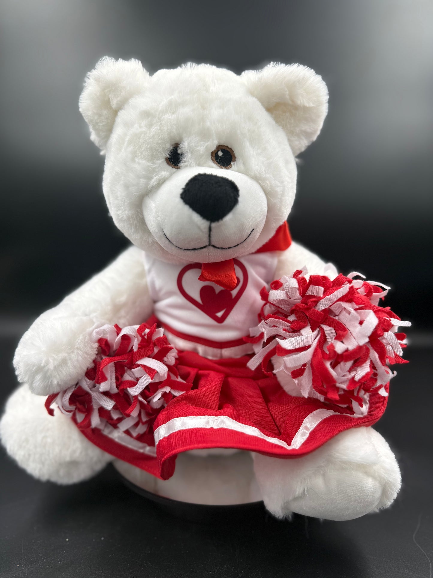 COMPANIONS – Custom Plush Bears with Personalized Wear