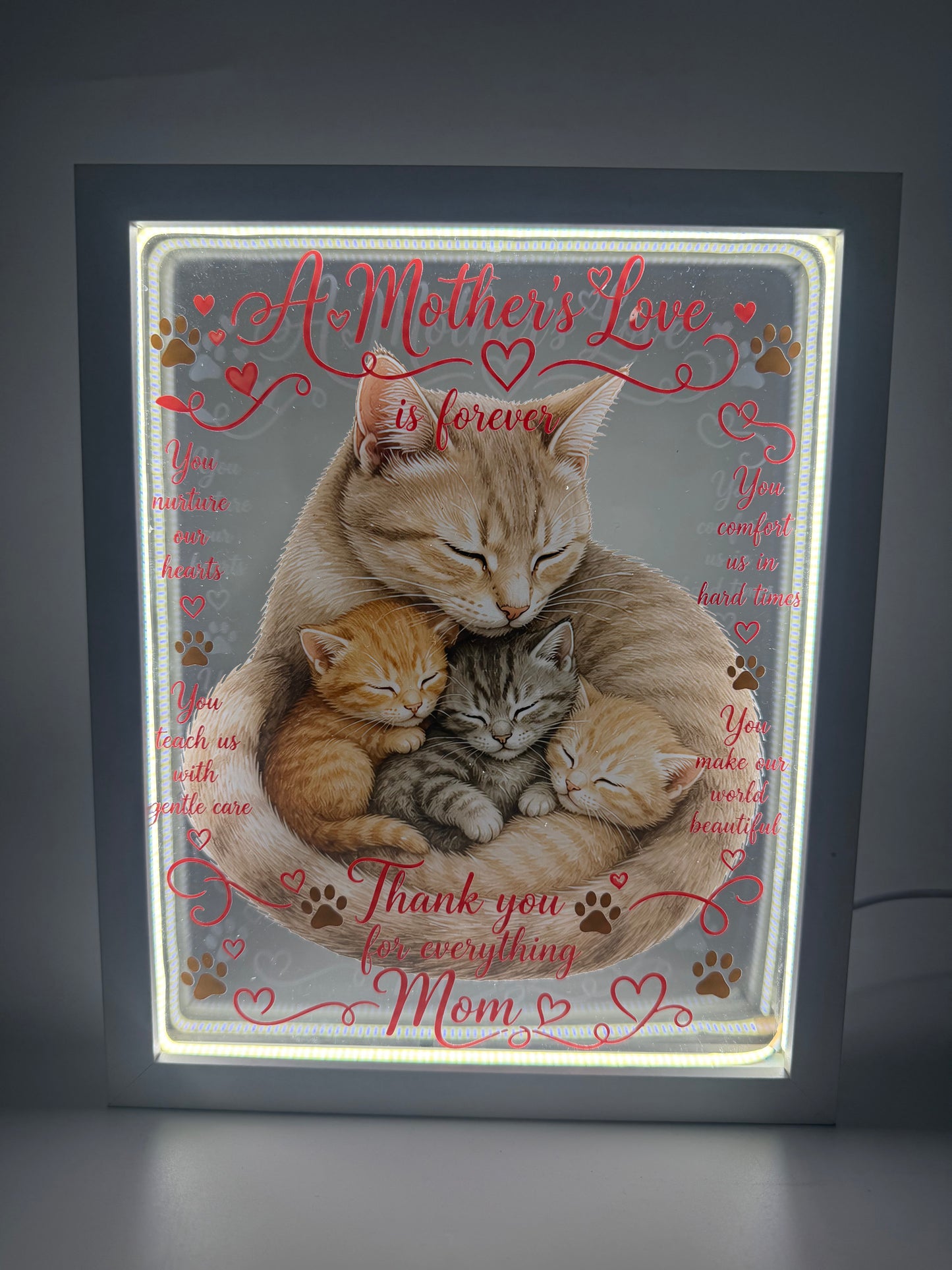Custom LED Acrylic Light Box (Double Layer)